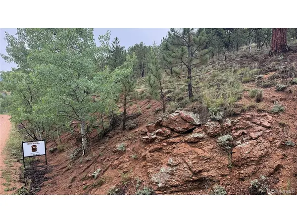 312 Marian, Bailey, CO 80421