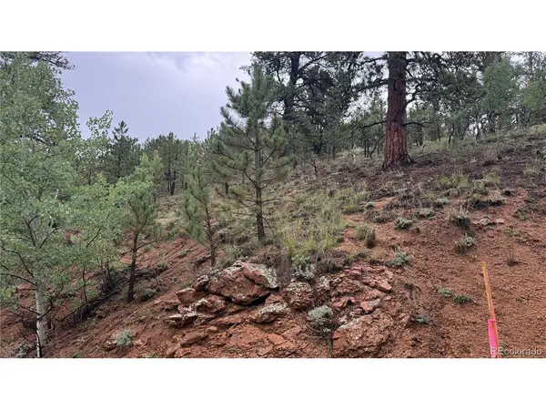 312 Marian, Bailey, CO 80421