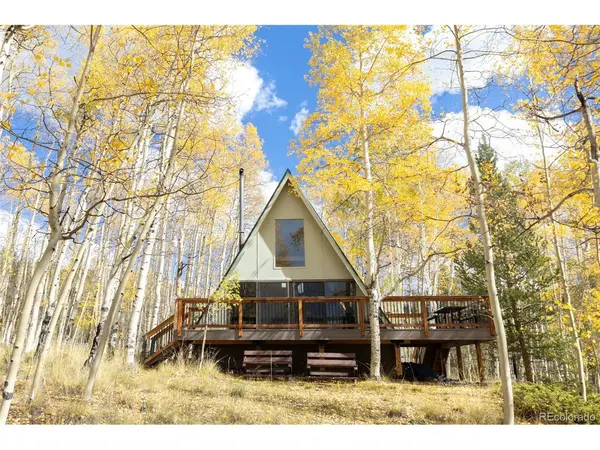 206 Empire, Leadville, CO 80461