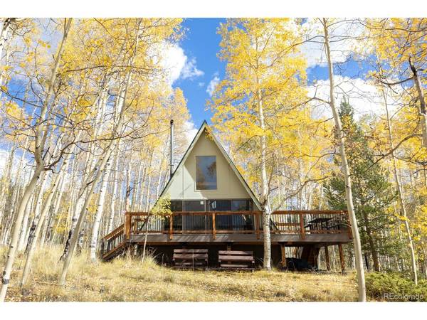 206 Empire, Leadville, CO 80461