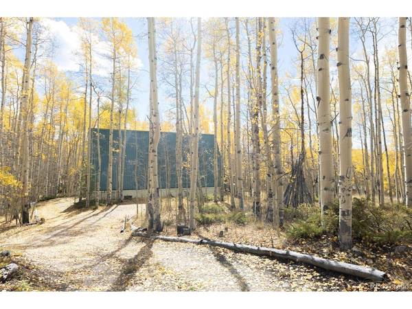 206 Empire, Leadville, CO 80461