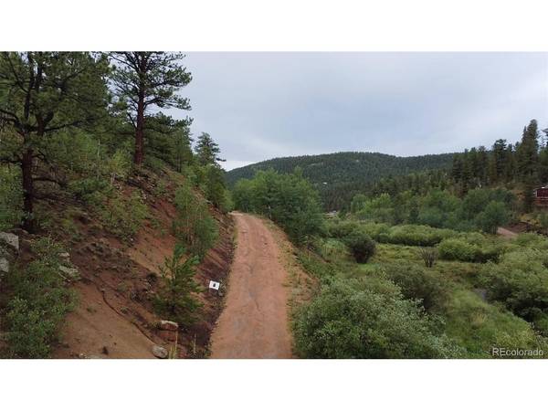 367 Neish, Bailey, CO 80421