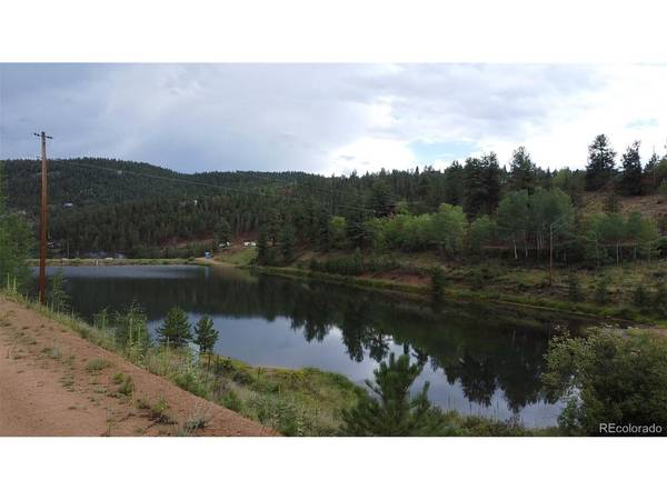 367 Neish, Bailey, CO 80421