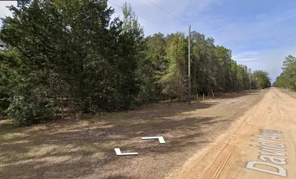 DAVID AVE, Interlachen, FL 32148