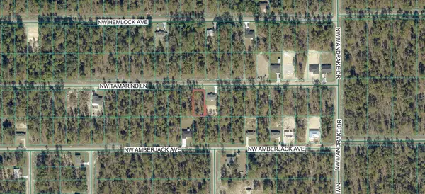 NW TAMARIND LN, Dunnellon, FL 34431