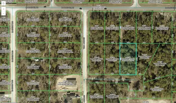 13031 GOLIATH CT, Weeki Wachee, FL 34614