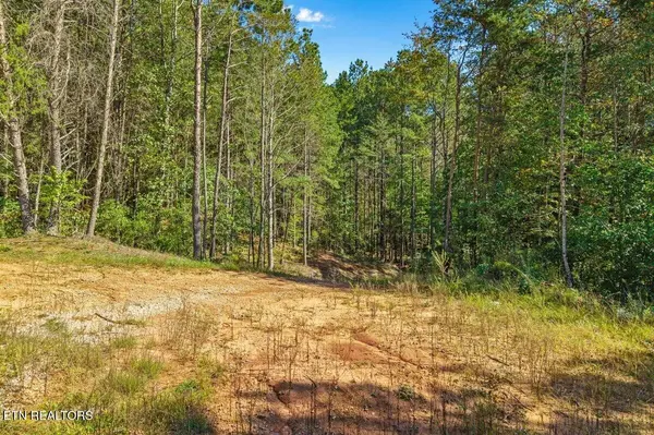1979 Ballplay Rd, Madisonville, TN 37354