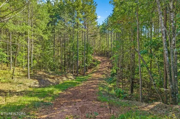 1979 Ballplay Rd, Madisonville, TN 37354