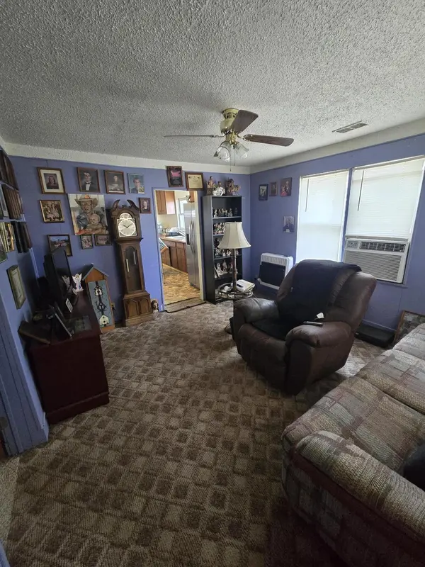 946 County Road 3670, Mountain View, MO 65548