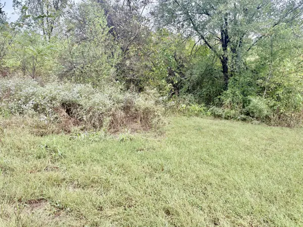 Lot 1 N Gymnasium ST, Everton, MO 65646