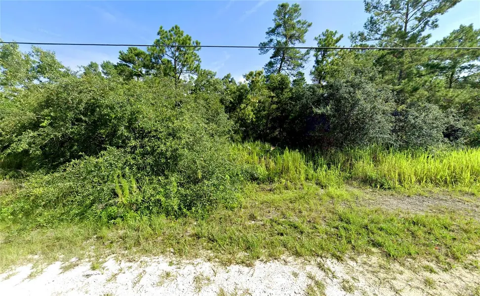 7301 BAHAMA SWALLOW AVE, Weeki Wachee, FL 34613