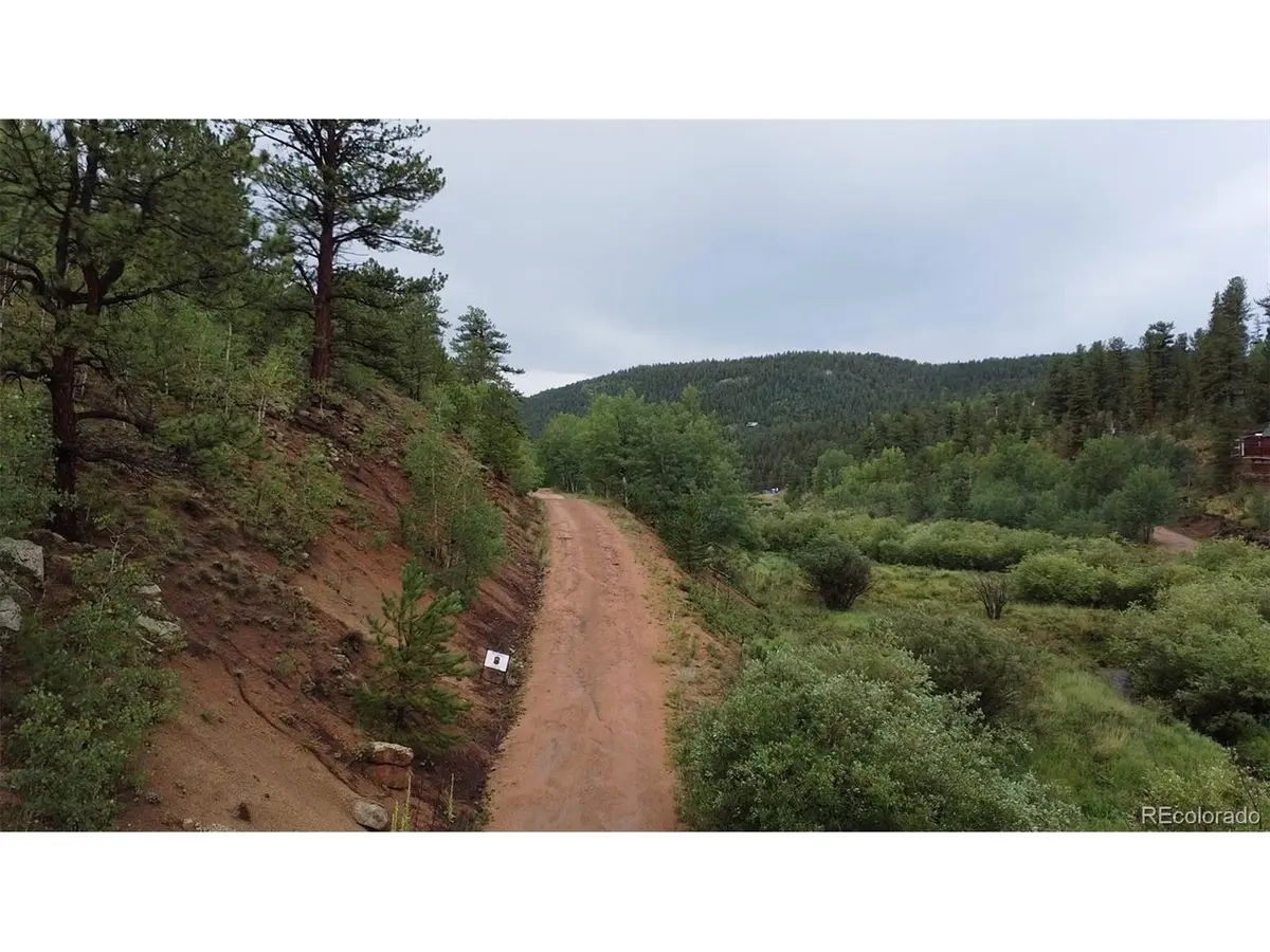 397 Neish, Bailey, CO 80421