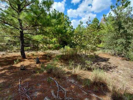 Lot 3 Tall Forest DR, Bastrop, TX 78602