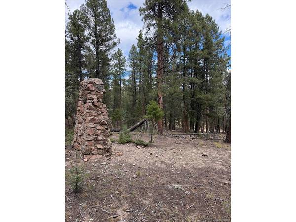 0 Tobbogan, Pine, CO 80407