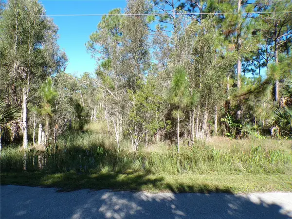 12213 RIPPLE DR, Punta Gorda, FL 33955
