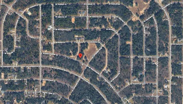 6371 N CORAL LILY DR, Citrus Springs, FL 34434