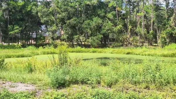 20778 N HWY 329, Micanopy, FL 32667