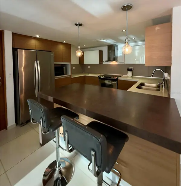 48 MUÑOZ RIVERA AVE #1205, San Juan, PR 00918