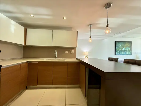 48 MUÑOZ RIVERA AVE #1205, San Juan, PR 00918