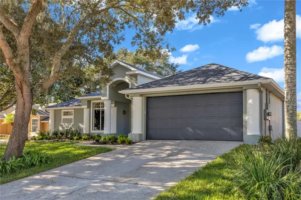 313 HAMPTON HILLS CT, Debary, FL 32713