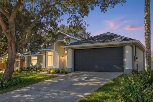 313 HAMPTON HILLS CT, Debary, FL 32713