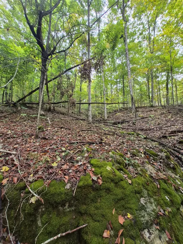 665 Bugg Hollow Rd, Gallatin, TN 37066