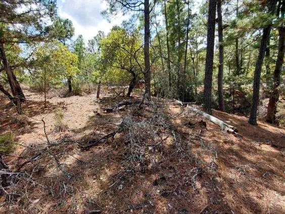 Lot 6 & 7 Wahane LN, Bastrop, TX 78602