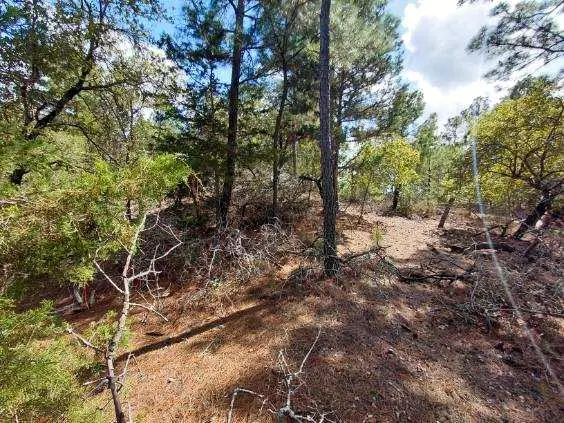 Lot 6 & 7 Wahane LN, Bastrop, TX 78602
