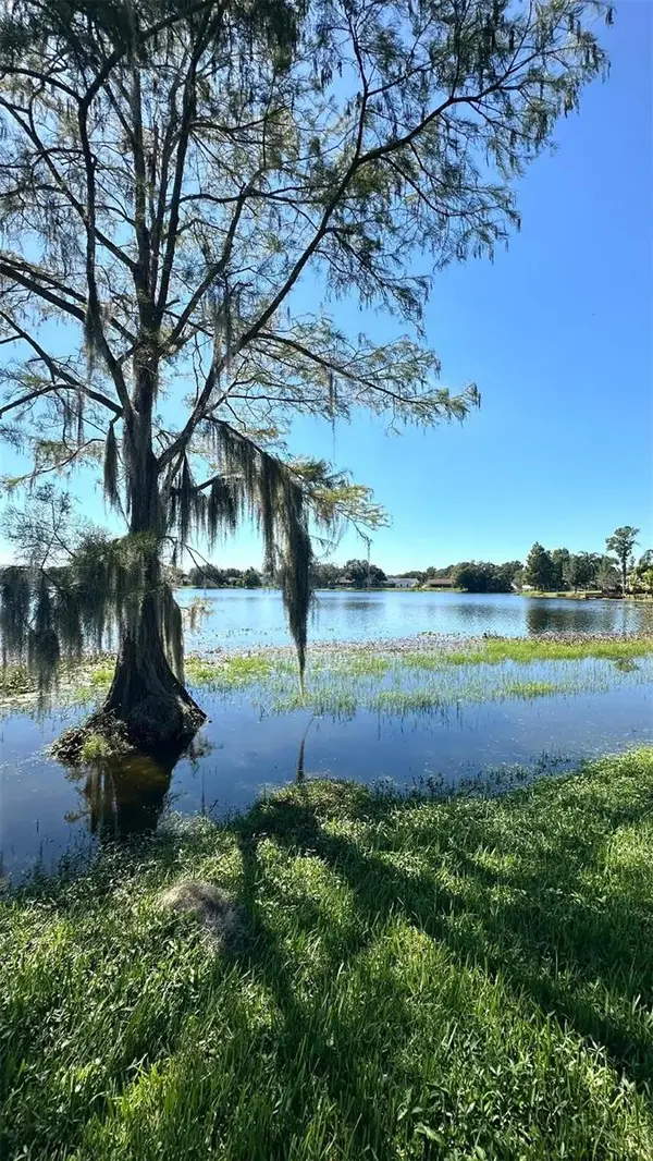 16634 BRIGADOON DR, Tampa, FL 33618