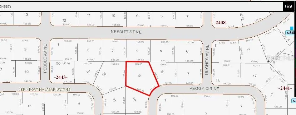 335 NE PEGGY CIR NE, Palm Bay, FL 32907
