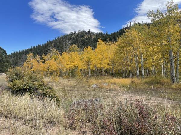 53 Ada, Red Feather Lakes, CO 80545