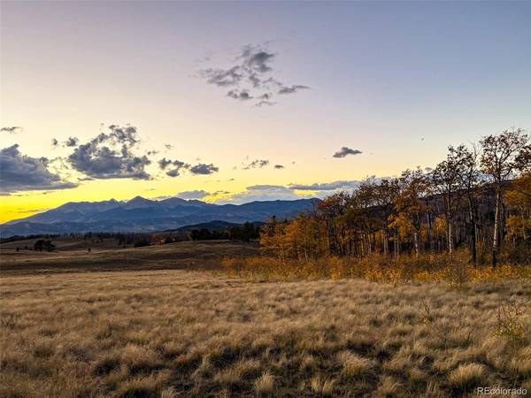 409 Brophy, Fort Garland, CO 81133