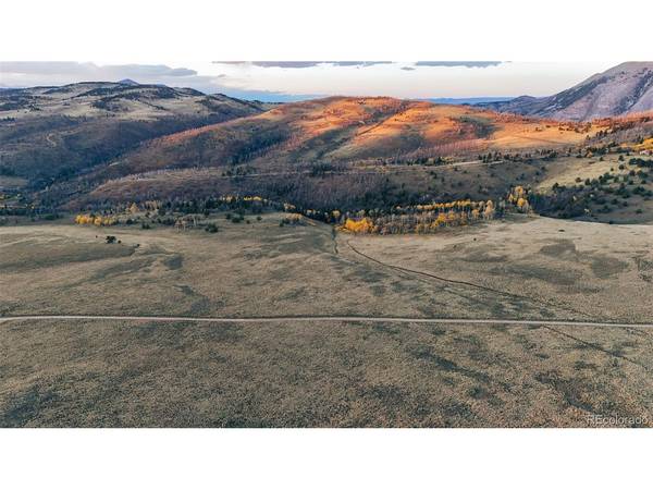 409 Brophy, Fort Garland, CO 81133