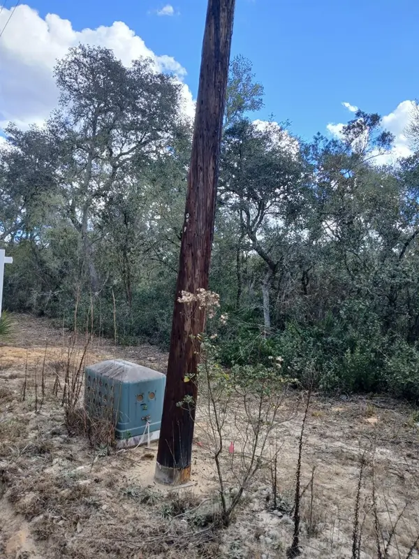 TBD NE 234 TH PL #Lots 19.20.21, Fort Mc Coy, FL 32134