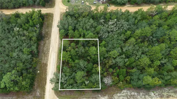 N/A SELMA AVE, Interlachen, FL 32148