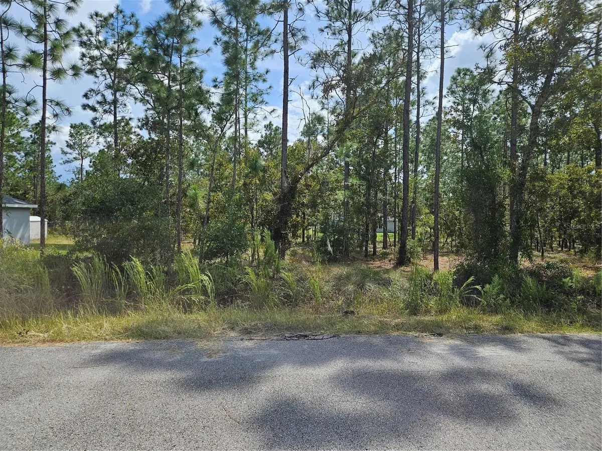 NW TAMARIND LN, Dunnellon, FL 34431