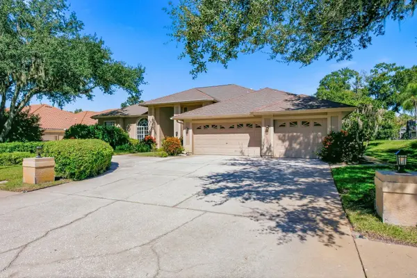3763 EXECUTIVE DR, Palm Harbor, FL 34685