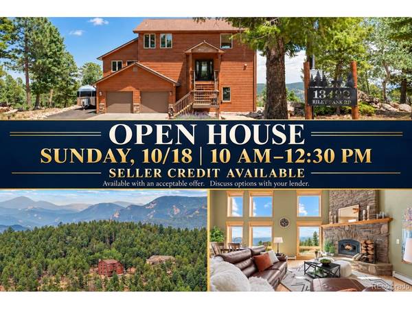 13432 Riley Peak, Conifer, CO 80433