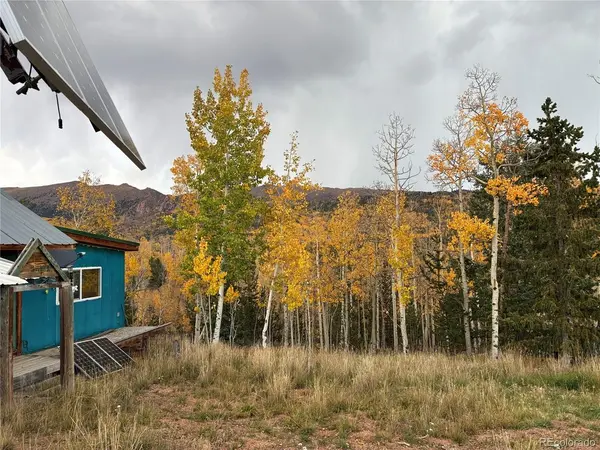 12201 S State Highway 67, Cripple Creek, CO 80813