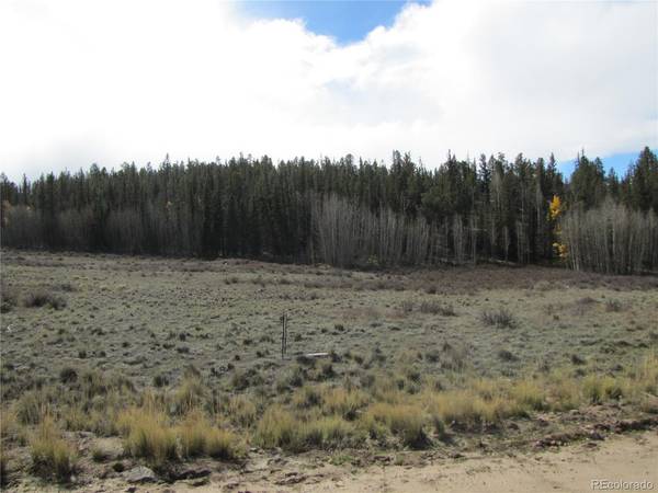 491 Longbow, Como, CO 80456