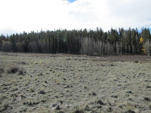 491 Longbow, Como, CO 80456