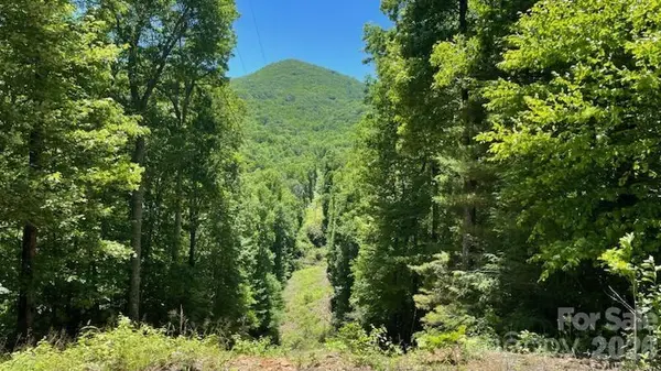 1629 White Rock RD, Cullowhee, NC 28723
