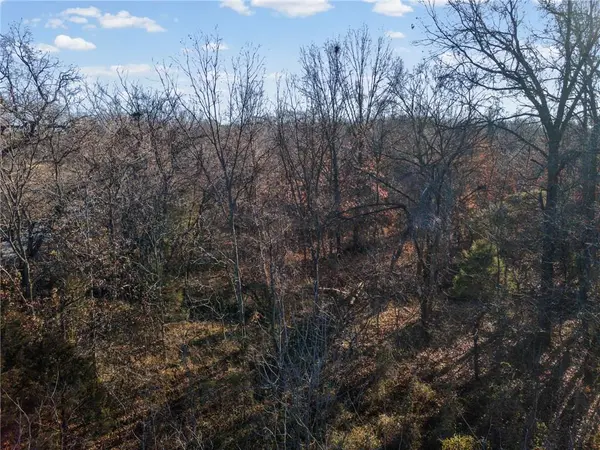 16 +/- Acres E Dakota ST, Butler, MO 64730