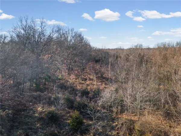 16 +/- Acres E Dakota ST, Butler, MO 64730
