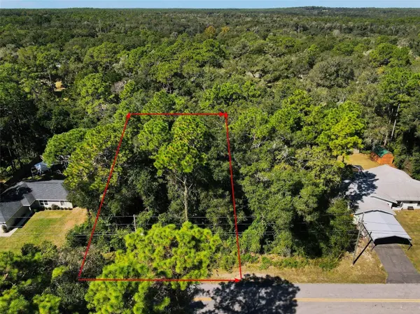 4114 S ALPINE AVE, Inverness, FL 34452