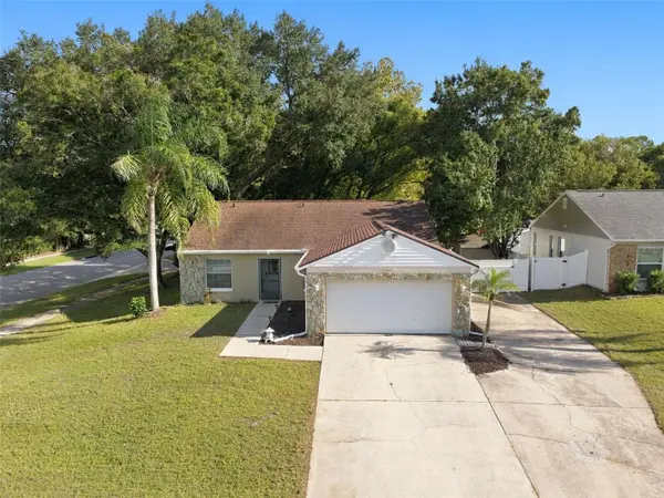 2872 WESLEYAN DR, Palm Harbor, FL 34684