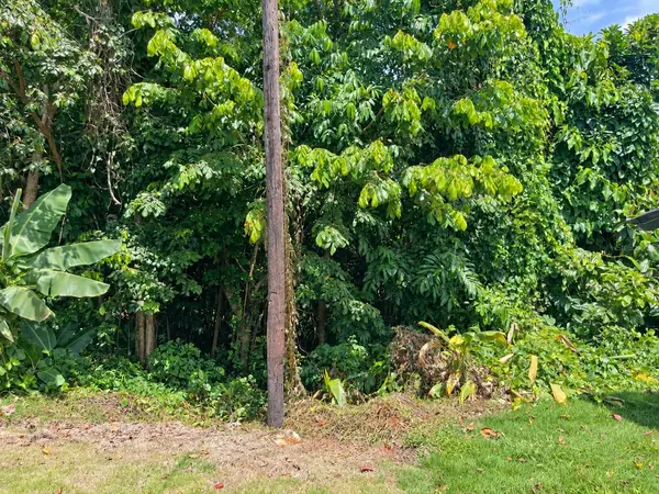 CARR. 119, Las Marias, PR 00670