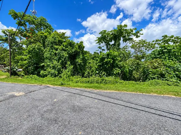 CARR. 119, Las Marias, PR 00670