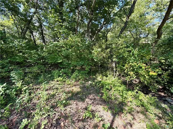 61 G ST, Lake Lotawana, MO 64086