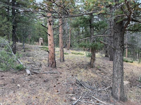 0 Toboggan, Pine, CO 80470